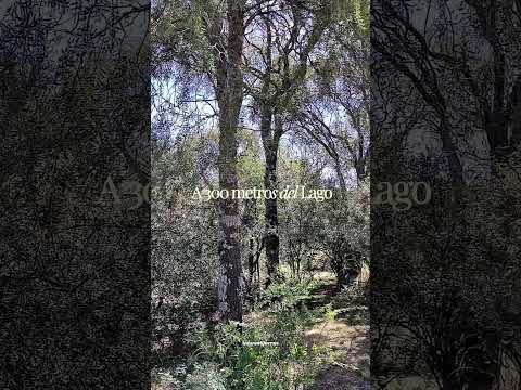 Hermoso terreno en venta en Boca del Río, Las Tapias, Traslasierra #nono #travel #villadelasrosas