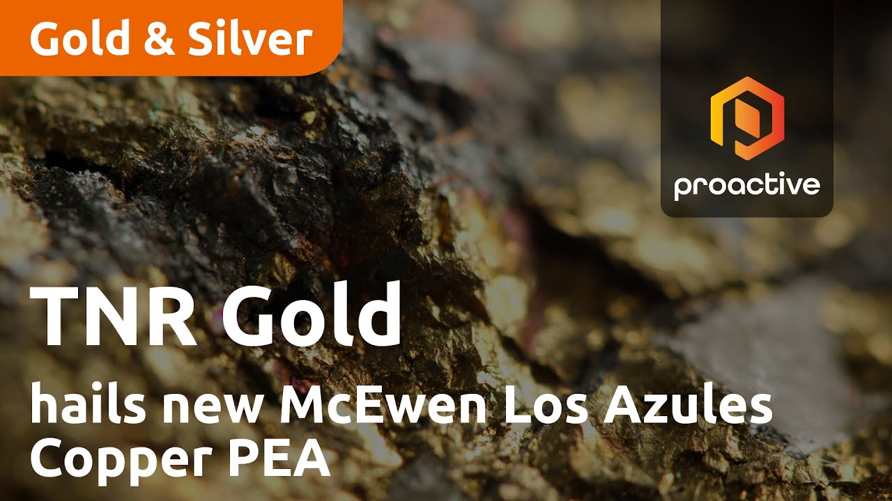 TNR Gold executive chairman hails new McEwen Los Azules Copper PEA