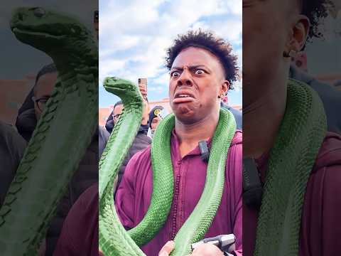 I Tamed A Snake !🐍 🐍