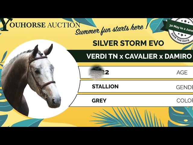 Silverstorm homevideo