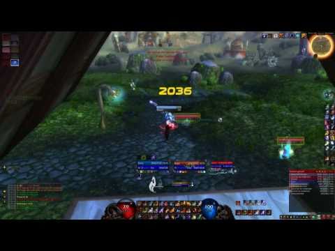 Enhancement Shaman - Just Some Clips