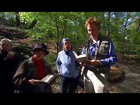 Late Night with Conan O'Brien - Bird Watching