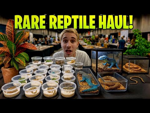 I Found a SECRET ROOM Full of RARE REPTILES!