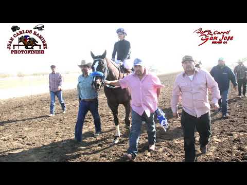 Cardenal vs Nuevo Minero