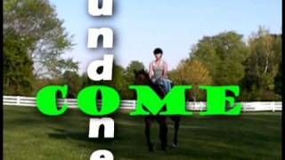 You Know; [.[.I'm Here For The Party.].]