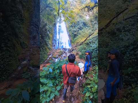 Cascadas en Napo🏞 #short #waterfall #quijos #caminata
