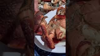 Uga - GIANT crabs 🦀 in Niue 🇳🇺