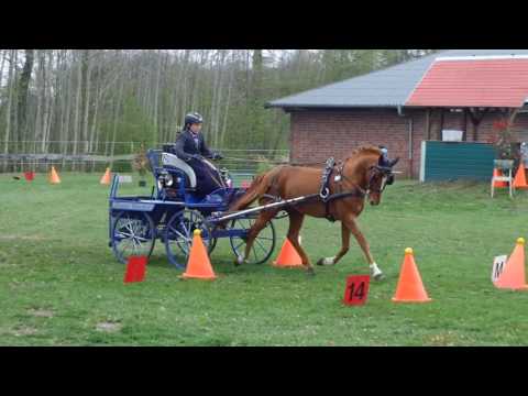 Fahrturnier Heek 8.4.2017