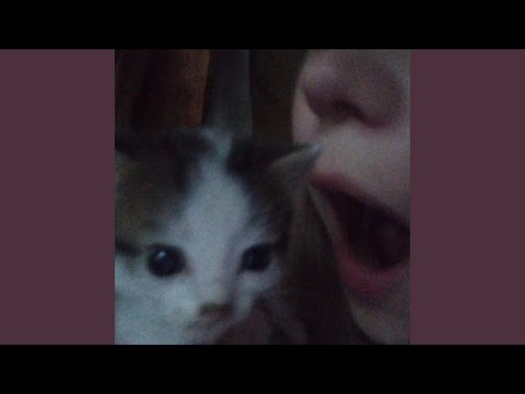 jestem w transie (feat. Rafael D)