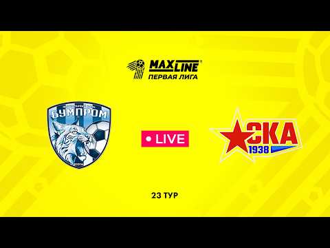 LIVE | Бумпром — РЦОП Стайки