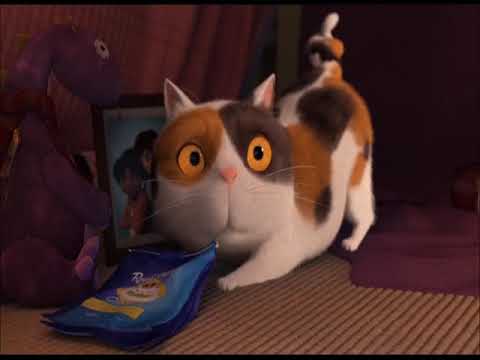 "One Hundred and One Cats" Part 6 - A Family Evening Together