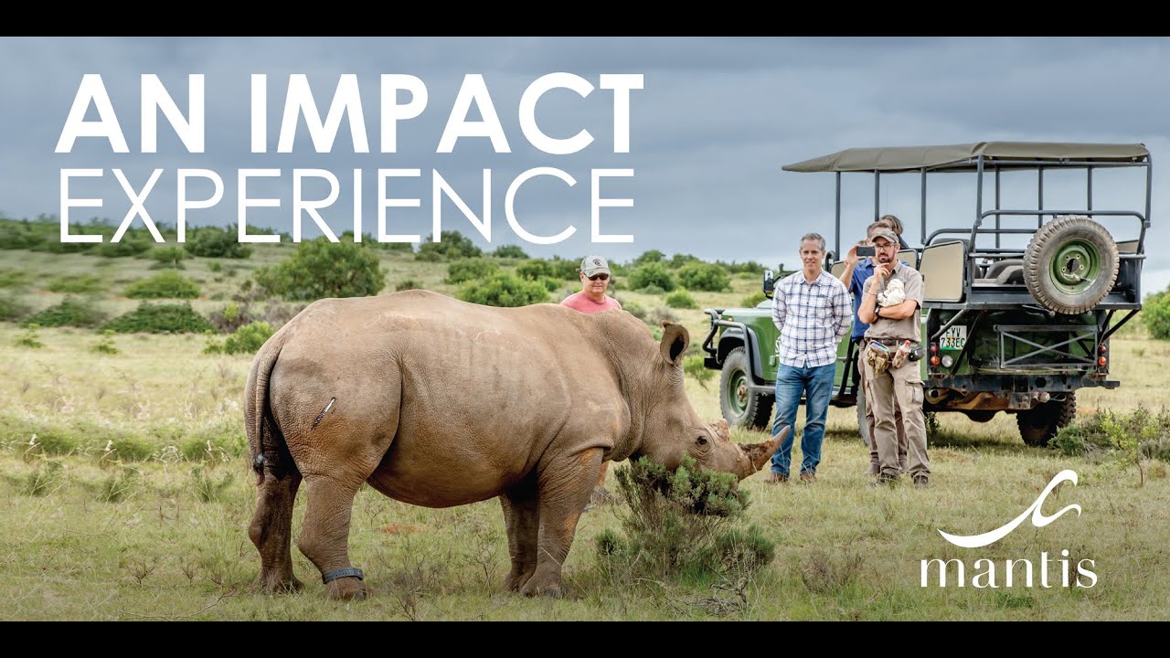 Mantis Rhino Conservation Experience