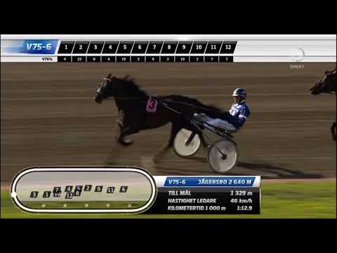 Svenskt Trav Derby 2015 - Conlight Ås