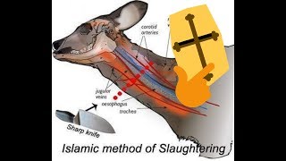 Ritual Sacrifice ends Democracy?