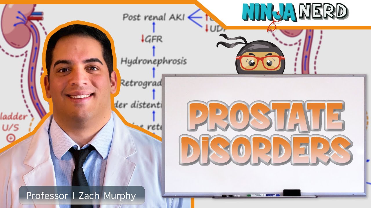 Prostate Disorders | Clinical Medicine