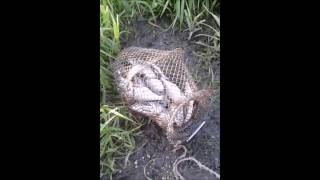 Рыбалка на верхне рузское водохранилище