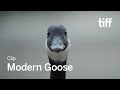 MODERN GOOSE Clip | TIFF 2023