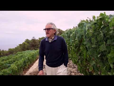 Dieter Meier - Ojo de Ibiza