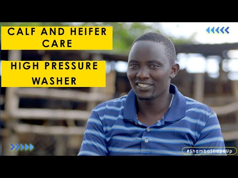 Shamba Shape Up Season 15 – Episode 17: Calf & Heifer Care and High pressure washer (English)