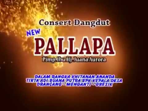 Antara Senyum dan Perang ~ Gerry feat Vivi Rosalita ~ New Pallapa