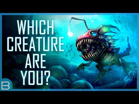 YouTube video about: What kind of fish are you?