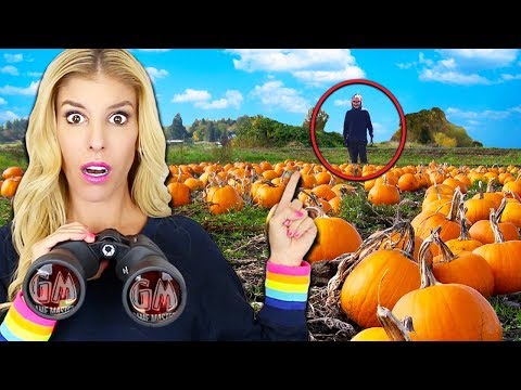 download lagu mp3 mp4 Pumpkin Patch Stores, download lagu Pumpkin Patch Stores gratis, unduh video klip Pumpkin Patch Stores