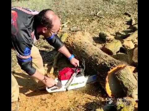 MOTOSIERRA GREENCUT GS750X