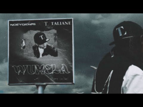NoeyDidios X Taliane - Wumela (Seben)