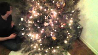 Our Tree 2013