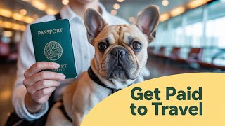 Pet Chaperone Business for Beginners — UK Practical Guide - low-cost business idea