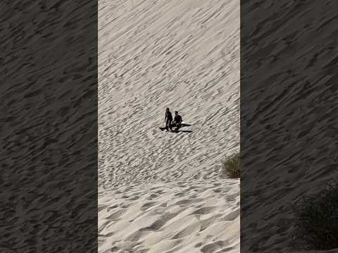 Fiambalá, Catamarca - Duna Mágica, Saujil #11