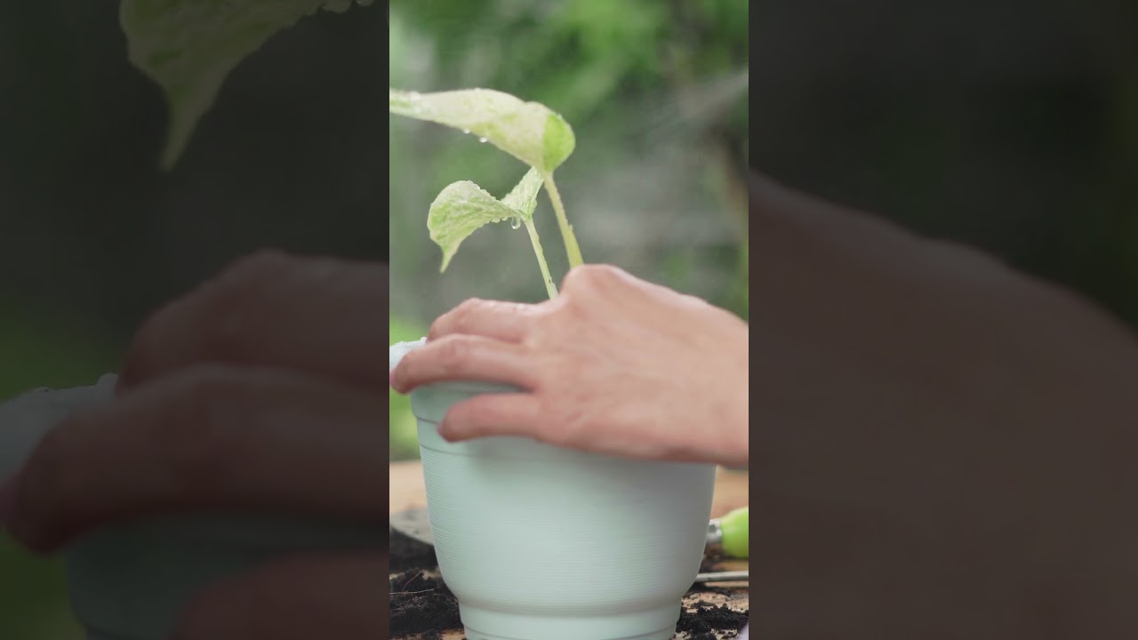 living Well With Osteoarthritis Tips And Tricks 2 | Safe And Effective Treatment | Stem Cell Therapy