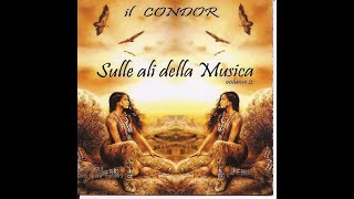 Cicci Guitar Condor - Geronimo (The Shadows)(guitar cover)