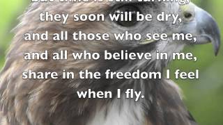 The Eagle and The Hawk by John Denver