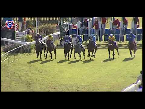 RM18 R5 | Good Buddy | M.Nunes