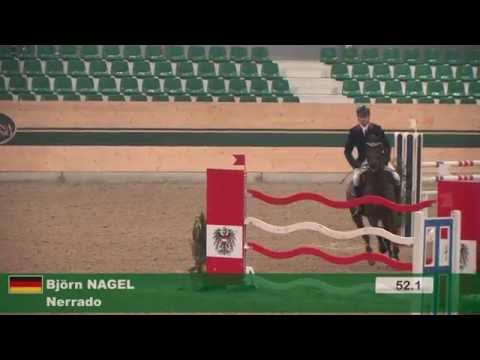 Stall NAGEL Hengst Nerrado v. Nekton