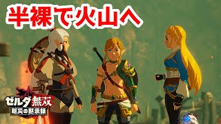 【実況】定年を迎えた父を再びハイラルの大地に放り込むPart9【ゼルダ無双 厄災の黙示録】