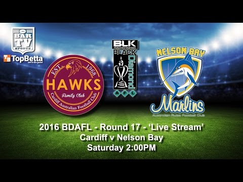 2016 BDAFL Round 17 Feature Match - Cardiff Hawks v Nelson Bay Marlins