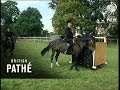 Training Police Horses 1967