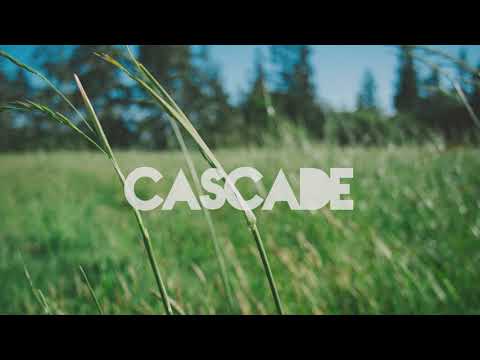 Noah Slee 'Instore' (feat. Wayne Snow & Rachel Fraser)