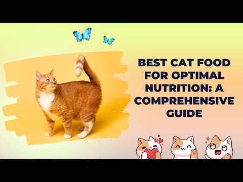 Best Cat Food for Optimal Nutrition: A Comprehensive Guide 🐱