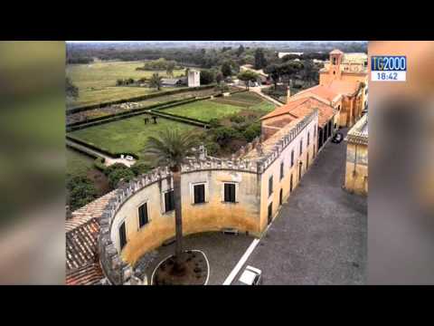 Tg2000 del 13 giugno 2015 - Edizione delle 18:30