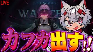 【崩壊スターレイル】カフカをお迎えする狐【大会主催/VTUBER】