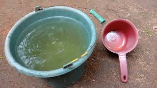 Download lagu CARA TEPAT PENGAPLIKASIAN ECO FARMING PADA POHON DURIAN SISTEM BIOPORI mp3 Download lagu CARA TEPAT PENGAPLIKASIAN ECO FARMING PADA POHON DURIAN SISTEM BIOPORI mp3