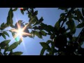 I Asked When by Brett Dennen