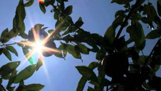 I Asked When by Brett Dennen