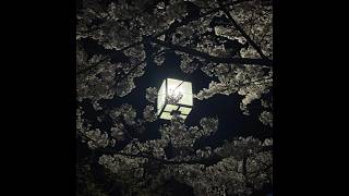 Download lagu yedira & Zhe Kamil - don't care mp3