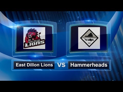 East Dillon Lions vs Hammerheads - Pool Play - Tidewater Kickball Open #TKO2017