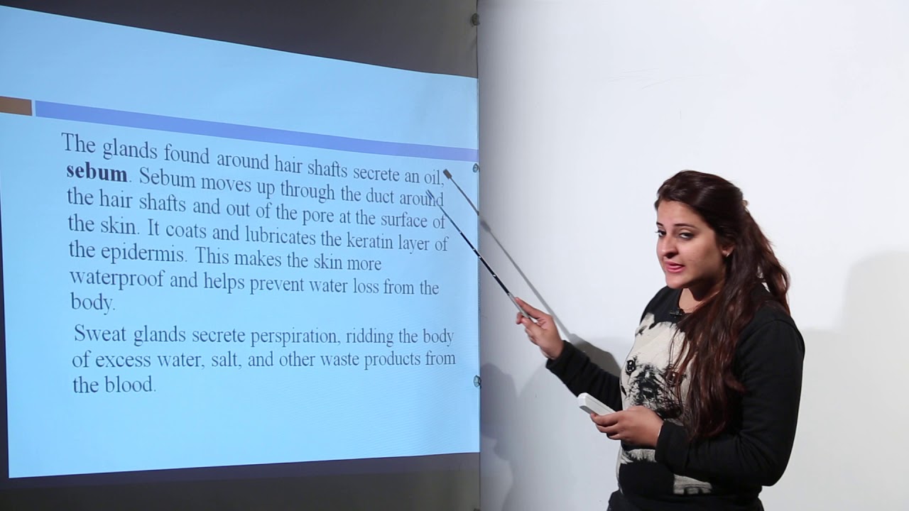 ICSE Class 9th I BIOLOGY I Chapter 5 I Lecture 7 | Structure and functions of  Skin