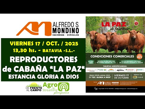 en VIVO - REMATE de CABAÑA "LA PAZ" de WERTHEIN - SUBASTA: ALFREDO S MONDINO - VIE. 17/OCT./2025